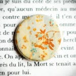 Badge Rayon d’Automne 2